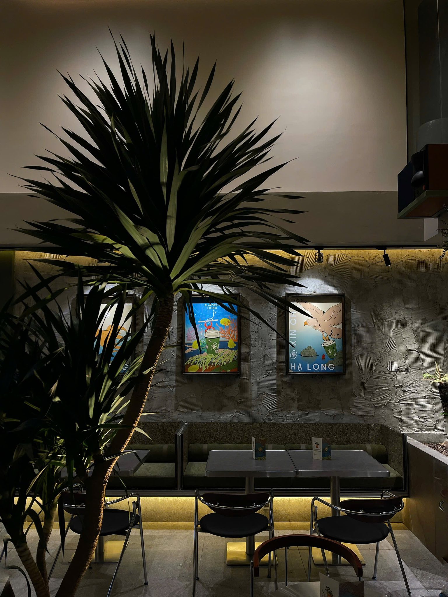 FF FRUIT BAR - HẠ LONG