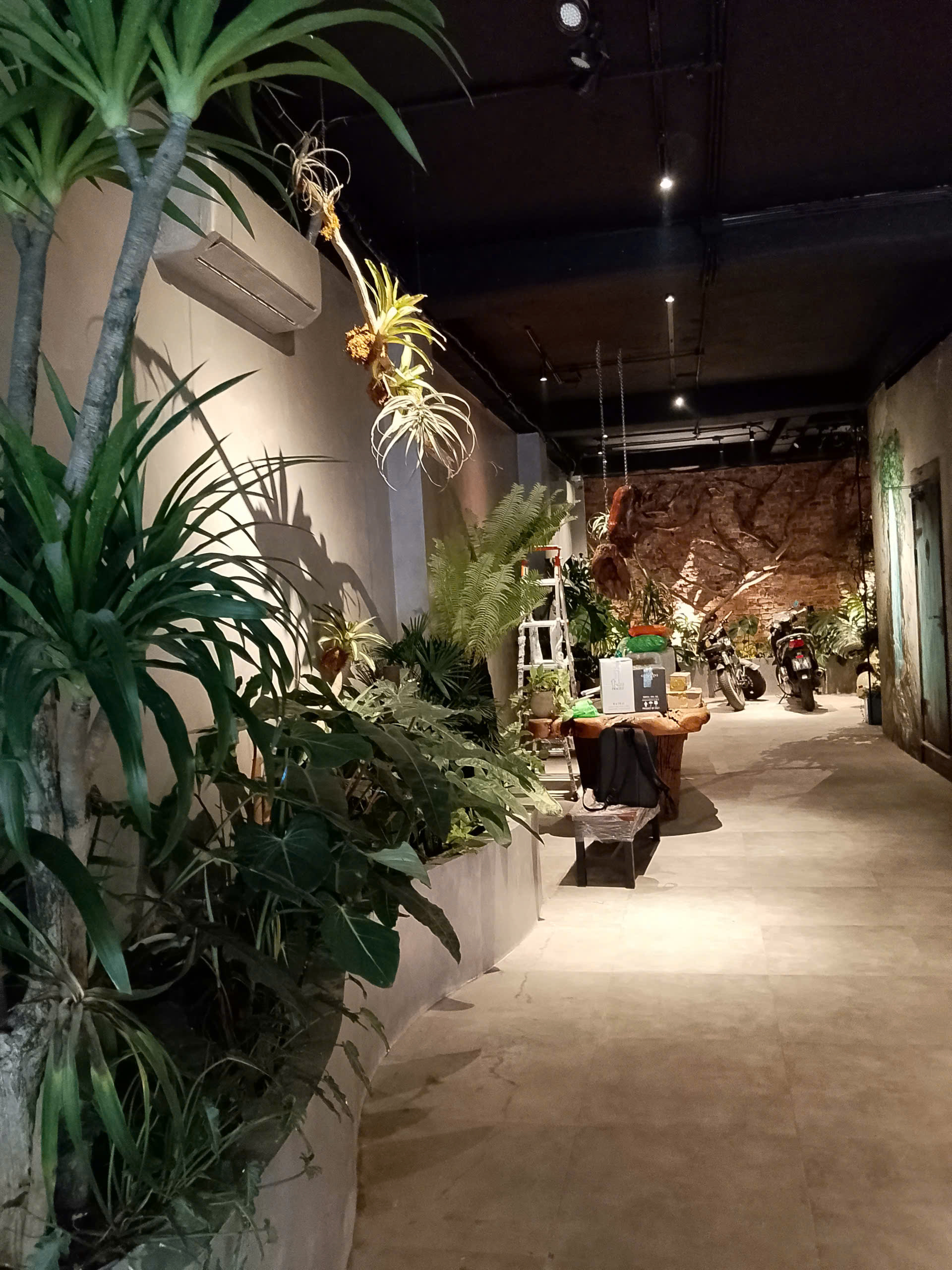 TILO ent. BAR COCKTAIL