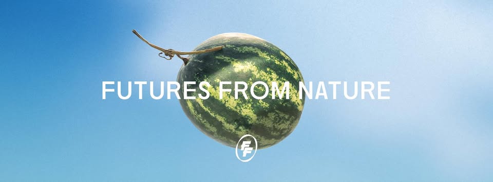  FF FRUIT BAR - PHẠM NGỌC THẠCH 